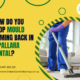 Bond cleaning services in Pallara